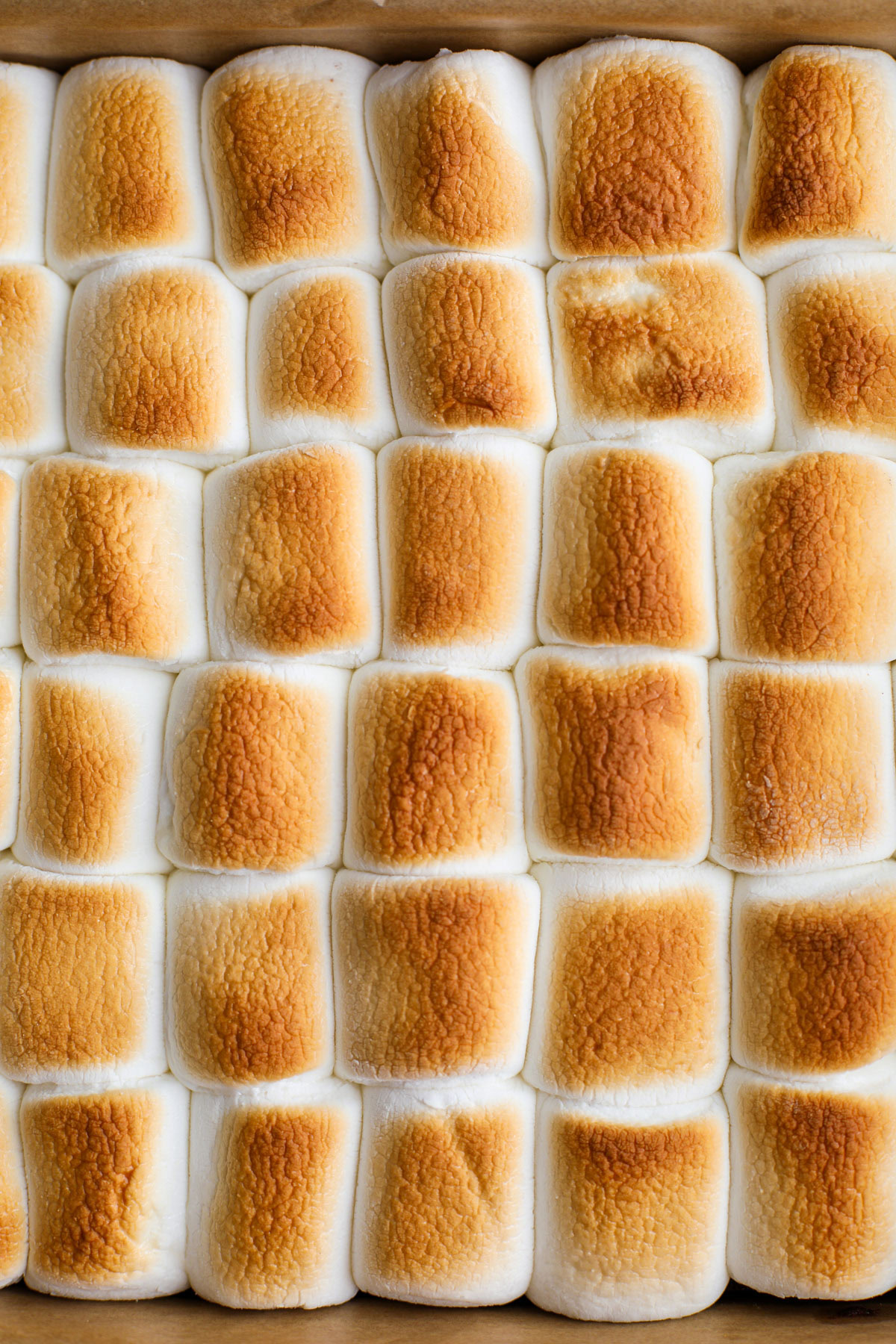 Toasted marshmallows on top of the brownies.